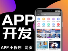 网站建设、公众号、小程序开发、aPP开发、软件开发、OA软件