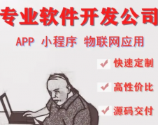 网站建设、公众号、小程序开发、aPP开发、软件开发、OA软件