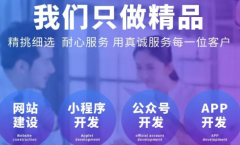 企业官网型、产品展示型、会员服务型等 德阳网站建设网页设计