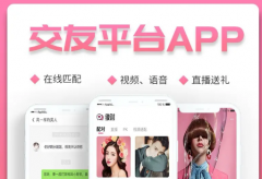APP点餐小程序物联网软件开发分销直播商城