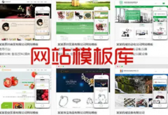 网站开发、APP开发、微信系统开发、商城系统开发