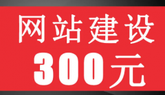 APP开发、服务器、小程序开发